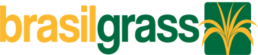 BrasilGrass Grama Sintética