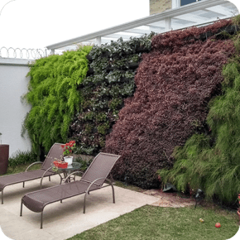 Módulo para Jardim Vertical